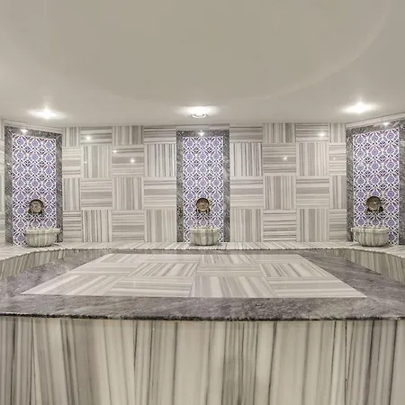 Hotel Hilton Garden Gimat Ankara